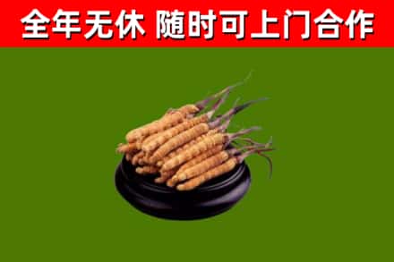 邻水烟酒回收冬虫夏草.jpg