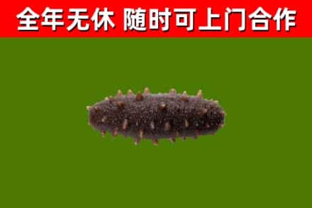 邻水烟酒回收干海参.jpg